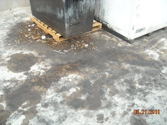 Before image